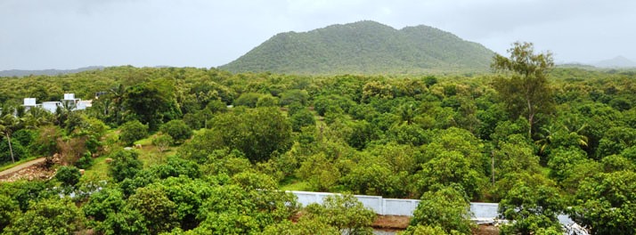 1433/Lords Resort - Gir National Park 11.jpg